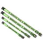 Newest Style Customized Imprint Ribbon SERVICE DOG EMOTINAL SUPPORT ANIMAL Dog Collar And Leash