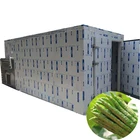 Reliable Bergamot Drying Equipment,Dryer for Fruits and Vegetable