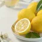 Wholesale Hot sale high quality fruit fresh Yellow Lemons