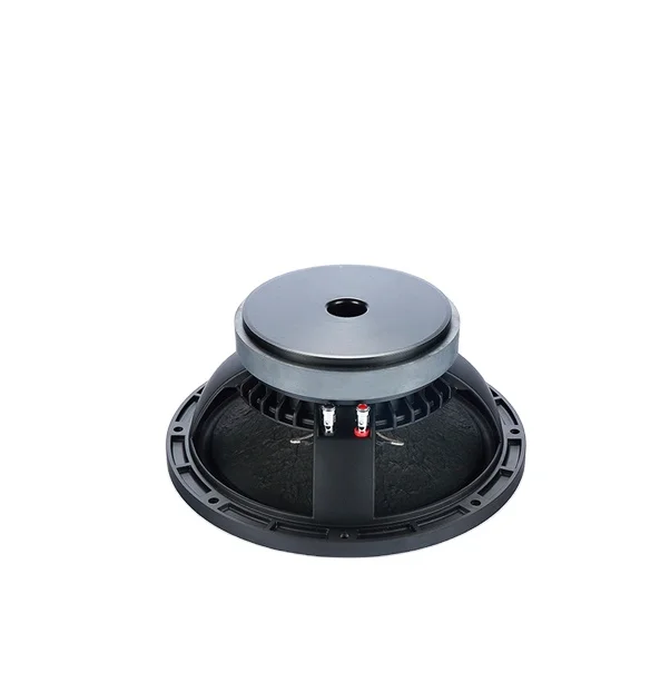 speaker spl 10 inch