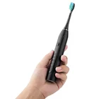 Adult Automatic Whitening Ultrasonic Electric Toothbrush Stand With Two Heads