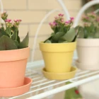 Succulent Pots Planter Pot Wholesale White Plastic Gardening Succulent Planter Flower Pots For Plants