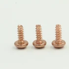 Screw Plastic Truss Torx Head Self Tapping Screw For Plastic Truss Head Phillips Screw