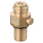 European Standard High Pressure Brass Co2 Cylinder Valve