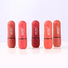 Artskin Moisturizing Lip Stick Colour Changing Natural Lipstick Set