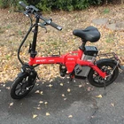 Best Quality Foldable Fat Bike Pedelec China Belt Drive e-Bike Electric Bicycle 1000 Watt