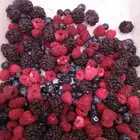 Fresh Taste IQF Frozen Mix Berries Strawberry Raspberry Blackberry Blueberry With High Quality