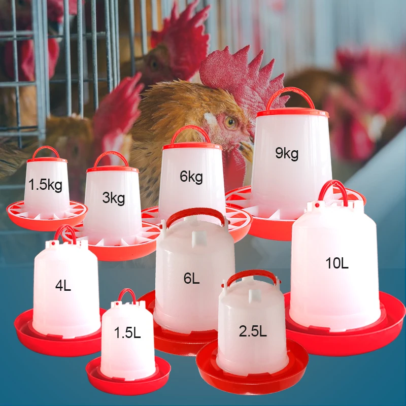 China Chicken Feeders Wholesale Alibaba