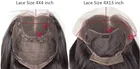 Lace Wigs Curly Curly Hd Lace Front Wigs 13x4 Deep Part Indian Temple Virgin Cuticle Aligned Hair Curly Human Hair Wigs