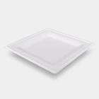 Biodegradable Disposable Square Plates Sugarcane Pulp Tableware