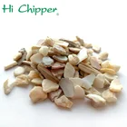 Seashells Crushed Natural Seashells Shells And Chips