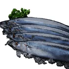 Huiyang seafood Whole round Pacific Saury; frozen fish;fresh fish
