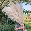 F-1403 Wedding Decoration Dry Flower Natural Brown Pampas Grass Dried Feather