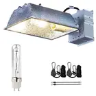 Greenhouse Hydroponics Lighting Low Frequency CMH 315w 630w 1000w Dimmable Grow Light Ballast