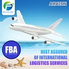 To Germany fast and cheap FBA logistics professional air transport agent