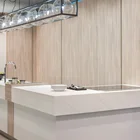 Surface Desk Solid Surface Reception Desk Countertop