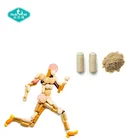 Dietary Supplement Powerful Weight Loss Slimming Capsule Fat Burning Capsule At Night