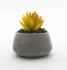 Faux Potted Succulent Set Artificial Succulent Small Plants Pots in Square Planter for Indoor Office Home Decor