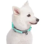 pet private label adjustable hemp dog leashes collars collar collar set jogging led harness vest custom manufacturers