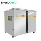 Liquid Nitrogen Individual Quick Freezing Machine IQF Equipment
