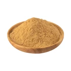 Hoodia Gordonii 2% Flavones Hoodia Gordonii Cactus Plant Extract Powder For Slimming Tea