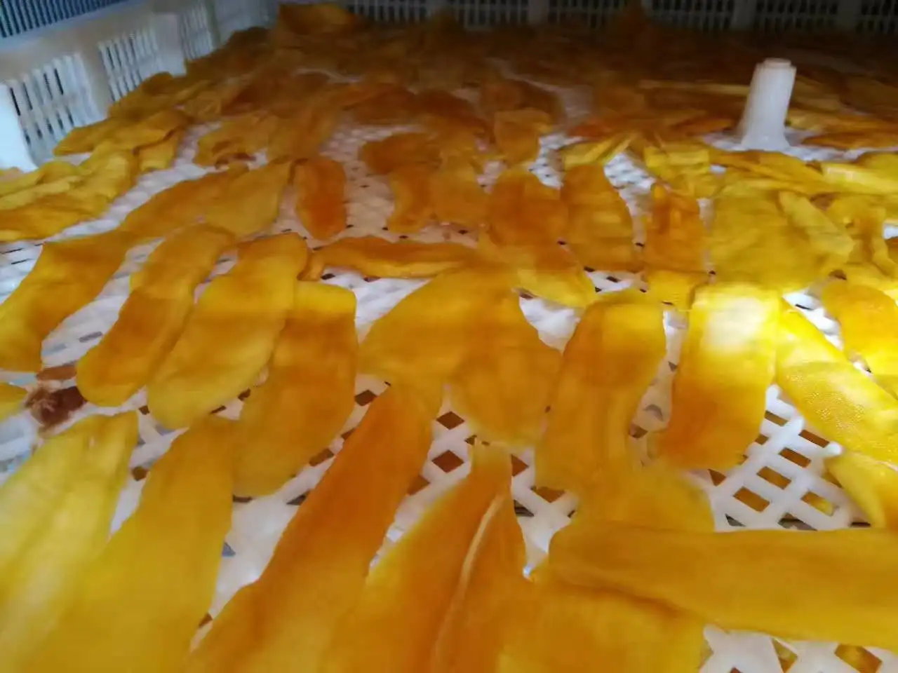 Cassava Fruit and Vegetable Drying Machine Meat Food Fish Dehydrator Heat Pump Dryer Machine factory