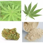 GMO Free 100% Organic Hulled 60% Protein Hemp Seed Powder