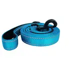 Nylon reflective dog leash with soft handle for medium and large dog