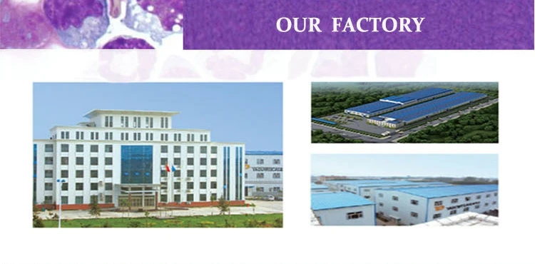 our factory_0