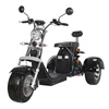 /product-detail/three-wheel-passenger-electric-tricycle-for-adults-elderly-60681599411.html
