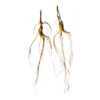 /product-detail/100-natural-whole-wild-raw-herbal-dried-ginseng-62305752584.html