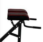 New Design Body Strong Preacher Curl Bench Roman Chair