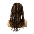 Fashion 100% Unprocessed Glueless Virgin Human Hair Swiss Lace Wig P4/27 Kinky Curly Brazilian Human Hair Front Lace Wig
