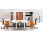 2-person Seaters workstation desk office furniture