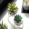 /product-detail/mini-succulents-planter-flower-pots-ceramics-flowerpots-art-vase-with-iron-stand-home-decoration-accessories-fairy-garden-gifts-62300383932.html