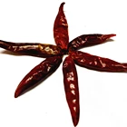 Factory Supply Dried Chilli Peppers whole Wholesale
