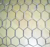 /product-detail/galvanised-chicken-wire-netting-fence-anping-hexagonal-mesh-60441960394.html
