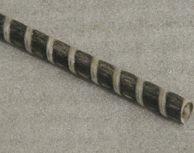 CFRP-carbon-fiber-rebar.jpg