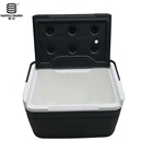 Best-selling in-car passive refrigerators fit for golf carts
