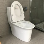 ARROW one piece glazing top dual flush floor mounted ceramic bathroom toilet set in Foshan