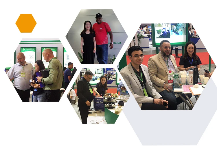 Tế Bào Tải PA-G 50Kg Tế Bào Tải Trọng Dầm Song Song 1000Kg Tế Bào Tải Trọng Một Điểm