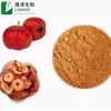 /product-detail/freeze-dried-hawthorn-berry-powder-62258575840.html