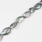 Abalone Shell 25-30mm Natural Polished Abalone Shell Natural Craft Seashell