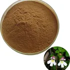 100% Pure Eyebright Herb Extract / Euphrasia Officinalis Extract