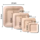 3.5 Inch Disposable Bamboo Plate Dinnerware Sets Bamboo Square Plate