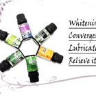 organic rosemary extract oil herb Natural perfume Healthy Hair Growth Anti Aging Antioxidant Natural Skin Care for Acne