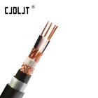 300/500V Copper Core XLPE/PE/PVC Insulated Instrument Cable