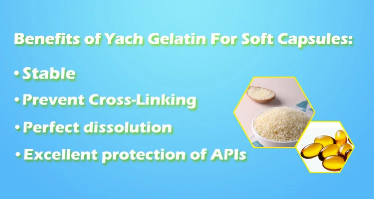 Benefits Yach.jpg