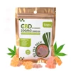 /product-detail/wholesales-10mg-cbd-isolate-gummy-pain-relief-and-relax-cbd-gummies-62088715247.html
