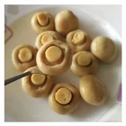 Canned Canned Canned Mushroom Whole